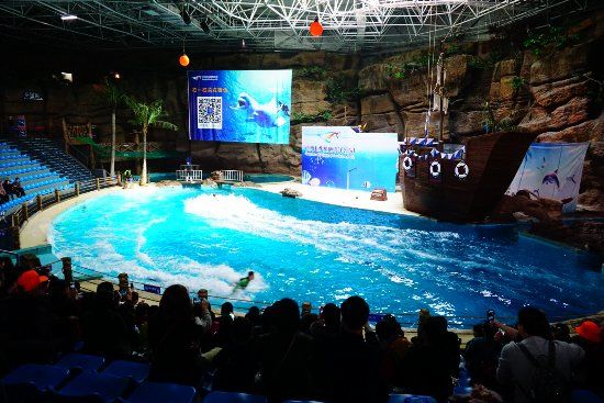 Hangzhou Polar Ocean World